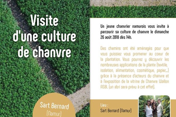 Visite d'une culture de chanvre