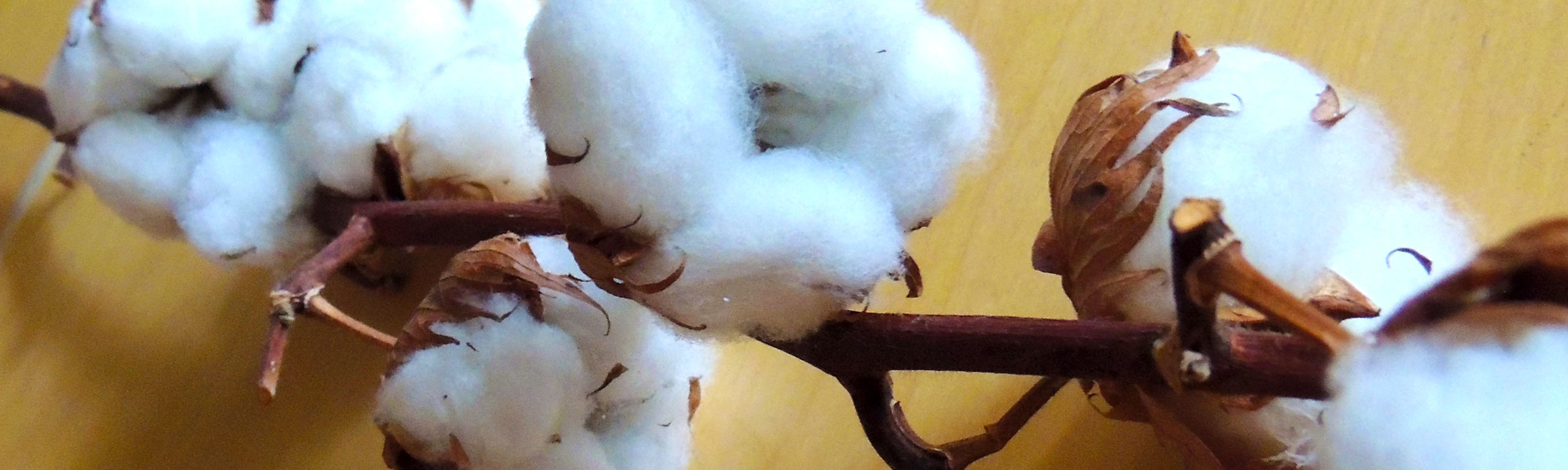 coton-tissage-artisanal